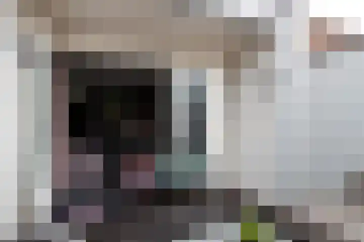 Singel 22 Wijk bij Duurstede thumbnail 15