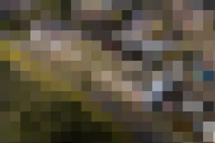 Singel 22 Wijk bij Duurstede thumbnail 24