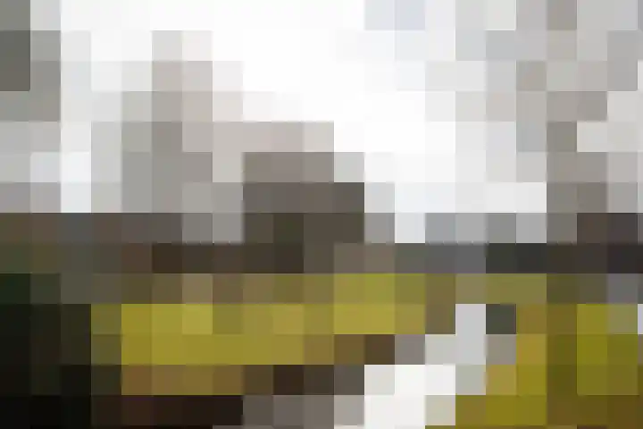 Singel 22 Wijk bij Duurstede thumbnail 25