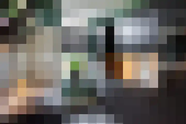 Singel 22 Wijk bij Duurstede thumbnail 8