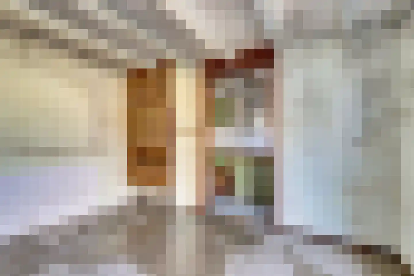 Singel 25 Domburg thumbnail 23