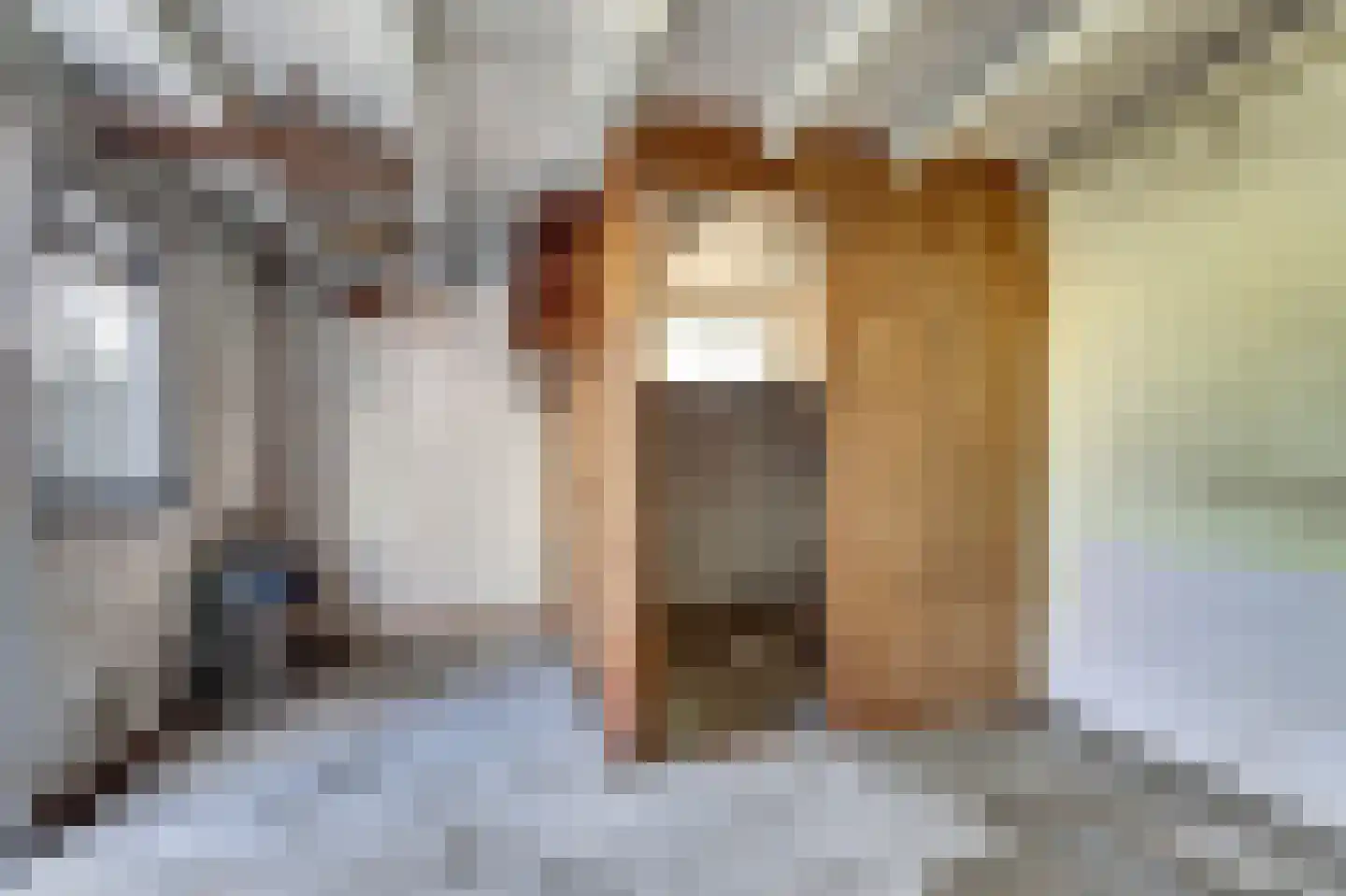 Singel 25 Domburg thumbnail 24