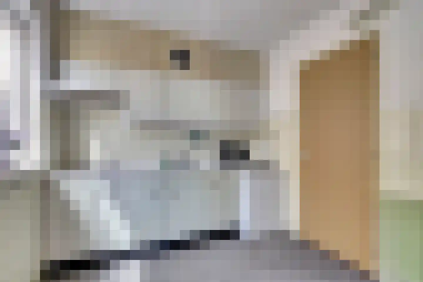 Singel 25 Domburg thumbnail 4