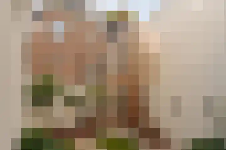 Singel 29 Amsterdam thumbnail 13