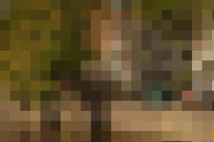 Singel 29 Amsterdam thumbnail 56