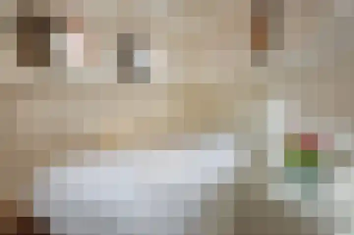 Singel 32 G Amsterdam thumbnail 22