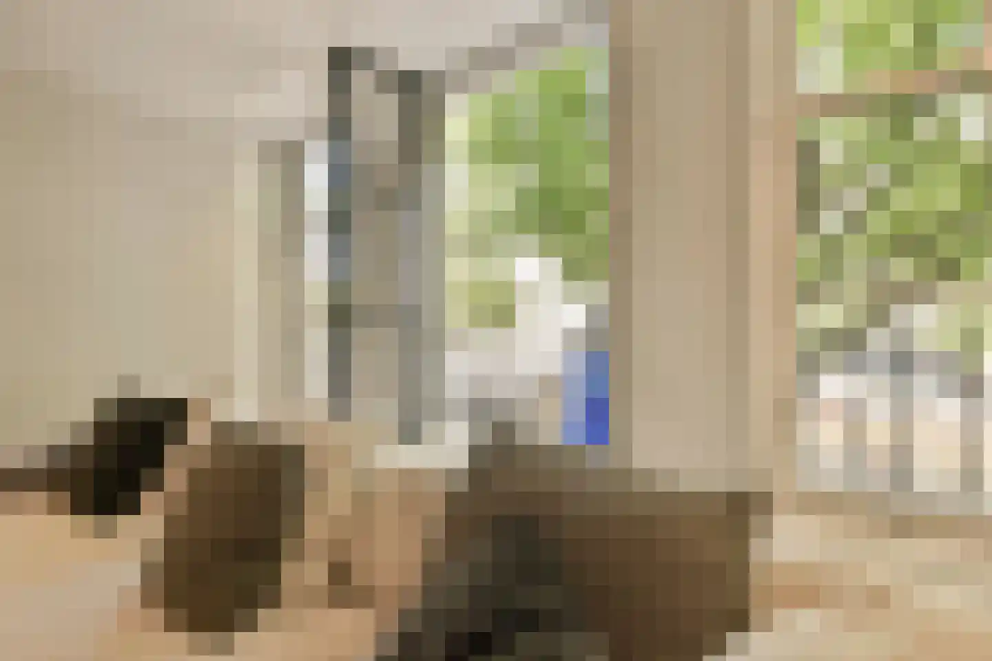 Singel 356 B Amsterdam thumbnail 8