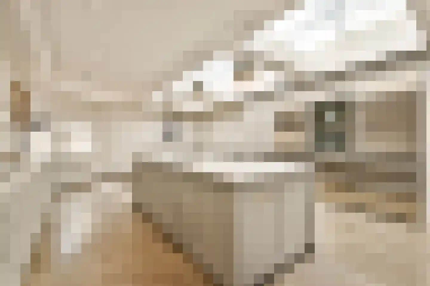 Singel 356 C Amsterdam thumbnail 8