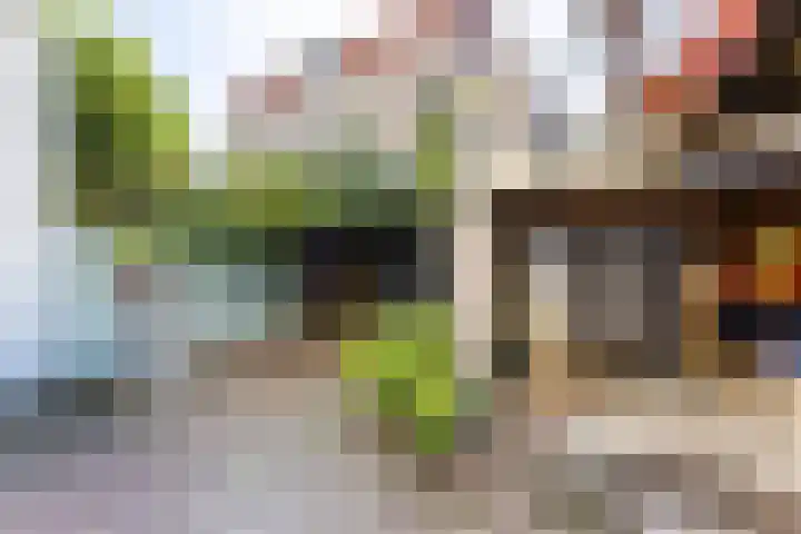 Singel 366 Vlissingen thumbnail 14