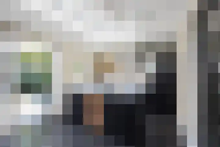 Singel 38 Didam thumbnail 11