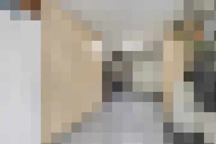 Singel 38 Didam thumbnail 14