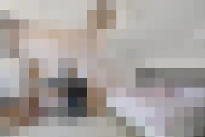 Singel 38 Didam thumbnail 28