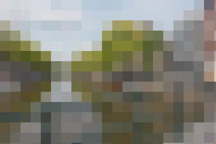Singel 381 3 Amsterdam thumbnail 13