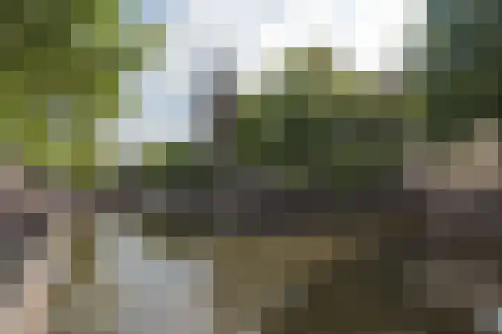 Singel 381 3 Amsterdam thumbnail 14