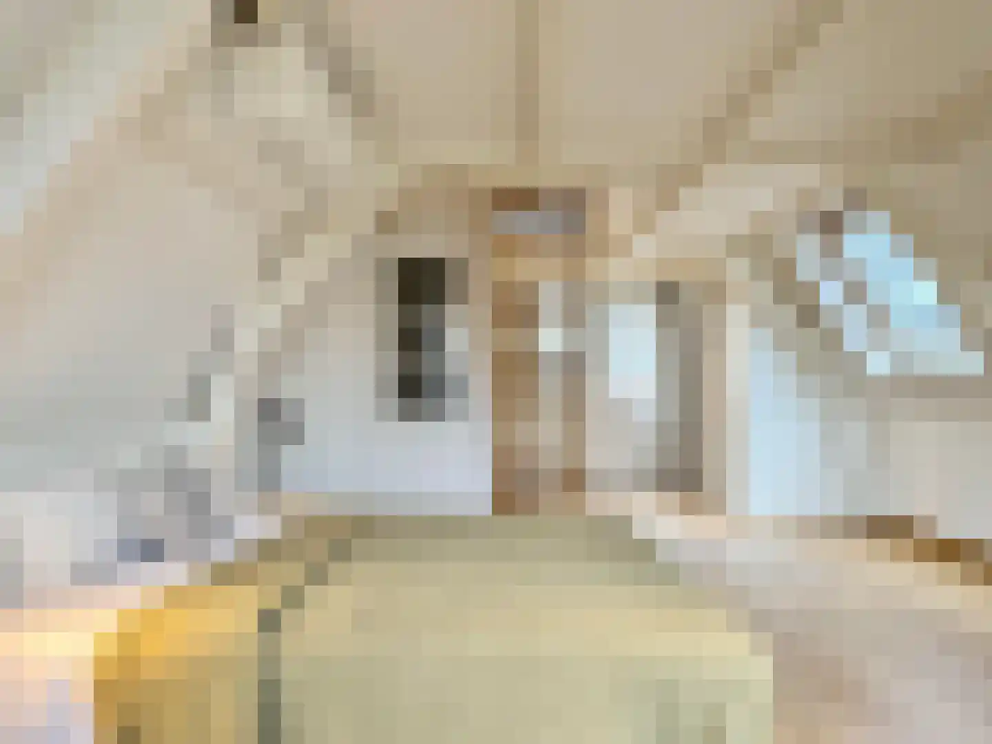 Singel 398 Amsterdam thumbnail 10