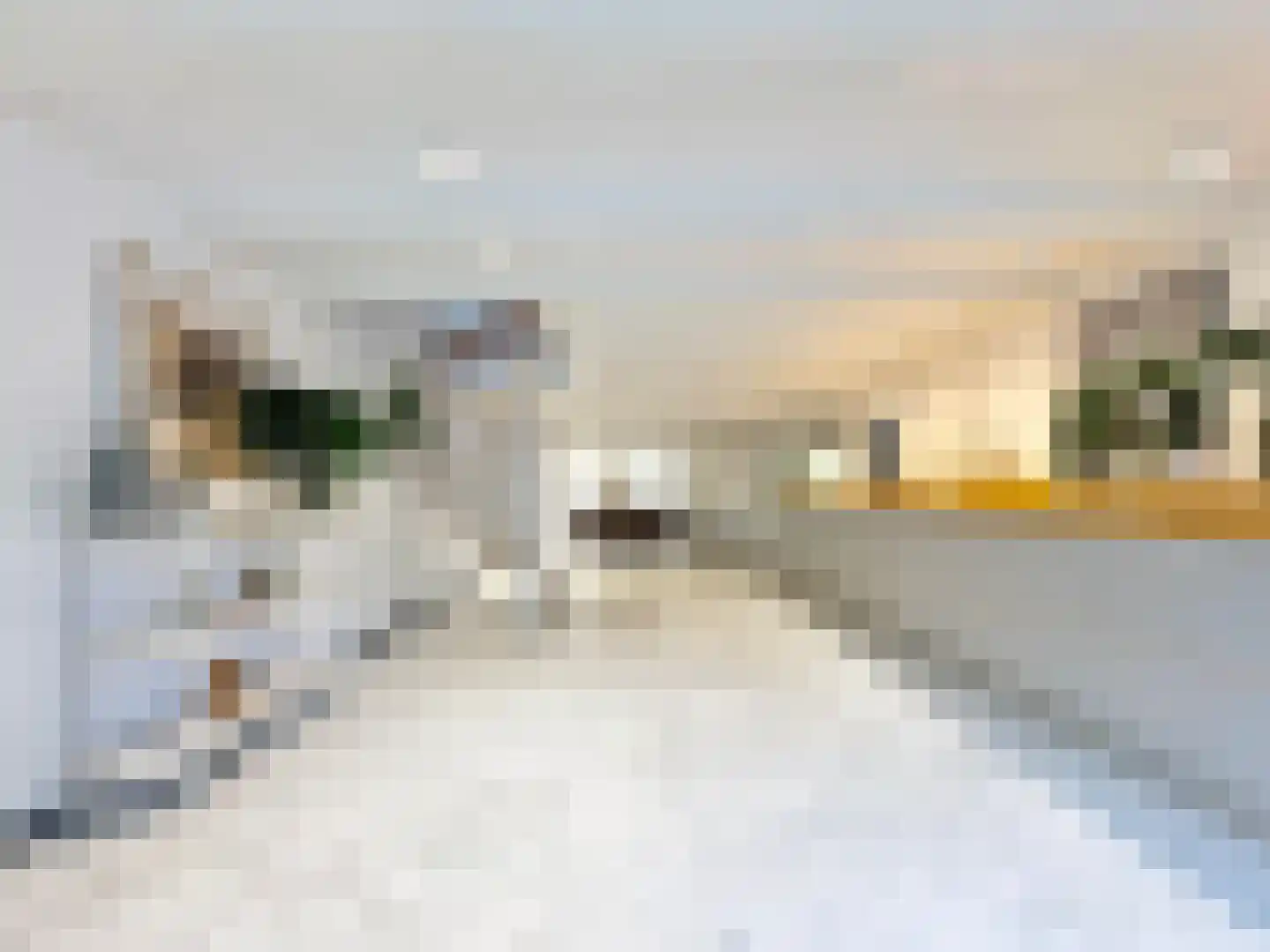 Singel 398 Amsterdam thumbnail 11