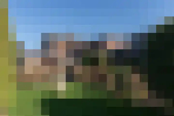 Singel 4 Noordeloos thumbnail 40