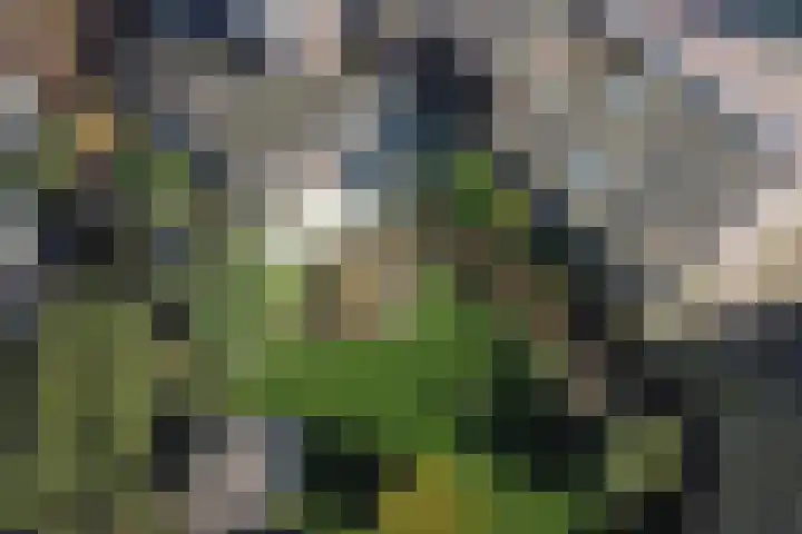 Singel 4 Noordeloos thumbnail 41