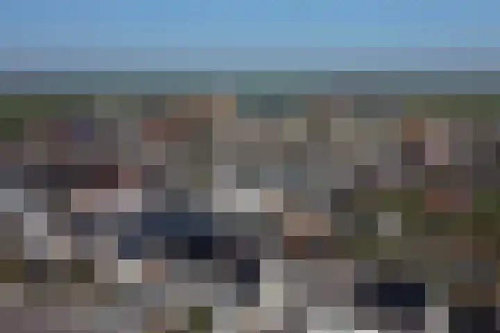 Singel 4 Noordeloos thumbnail 43