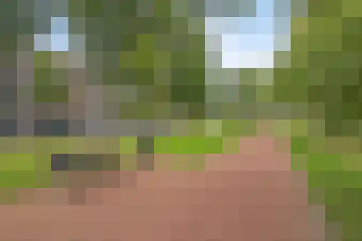 Singel 40 Vlissingen thumbnail 41