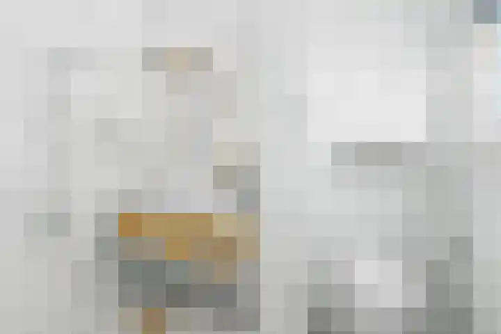 Singel 42 D Amsterdam thumbnail 45