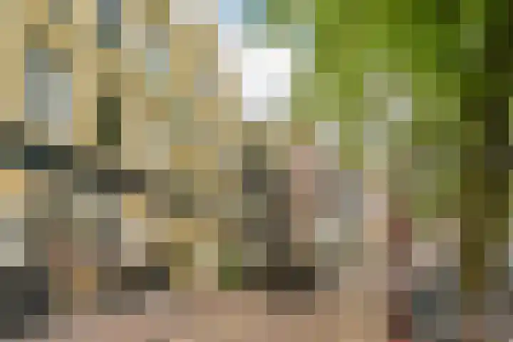 Singel 422 K Amsterdam thumbnail 25
