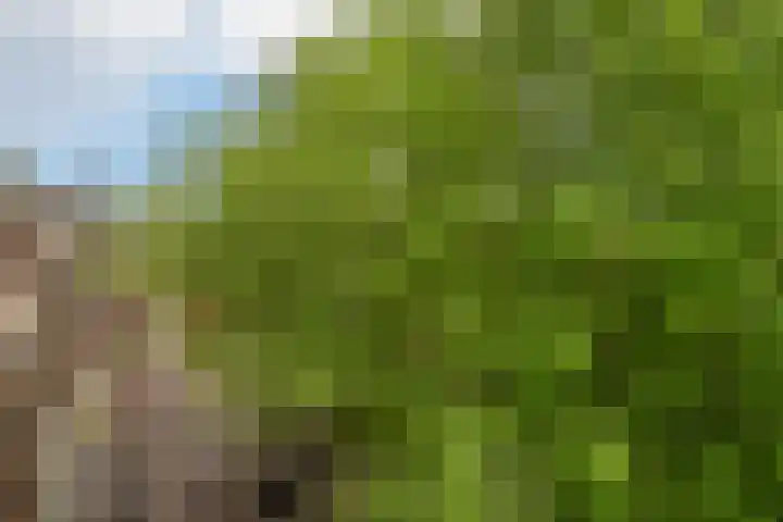 Singel 422 K Amsterdam thumbnail 6