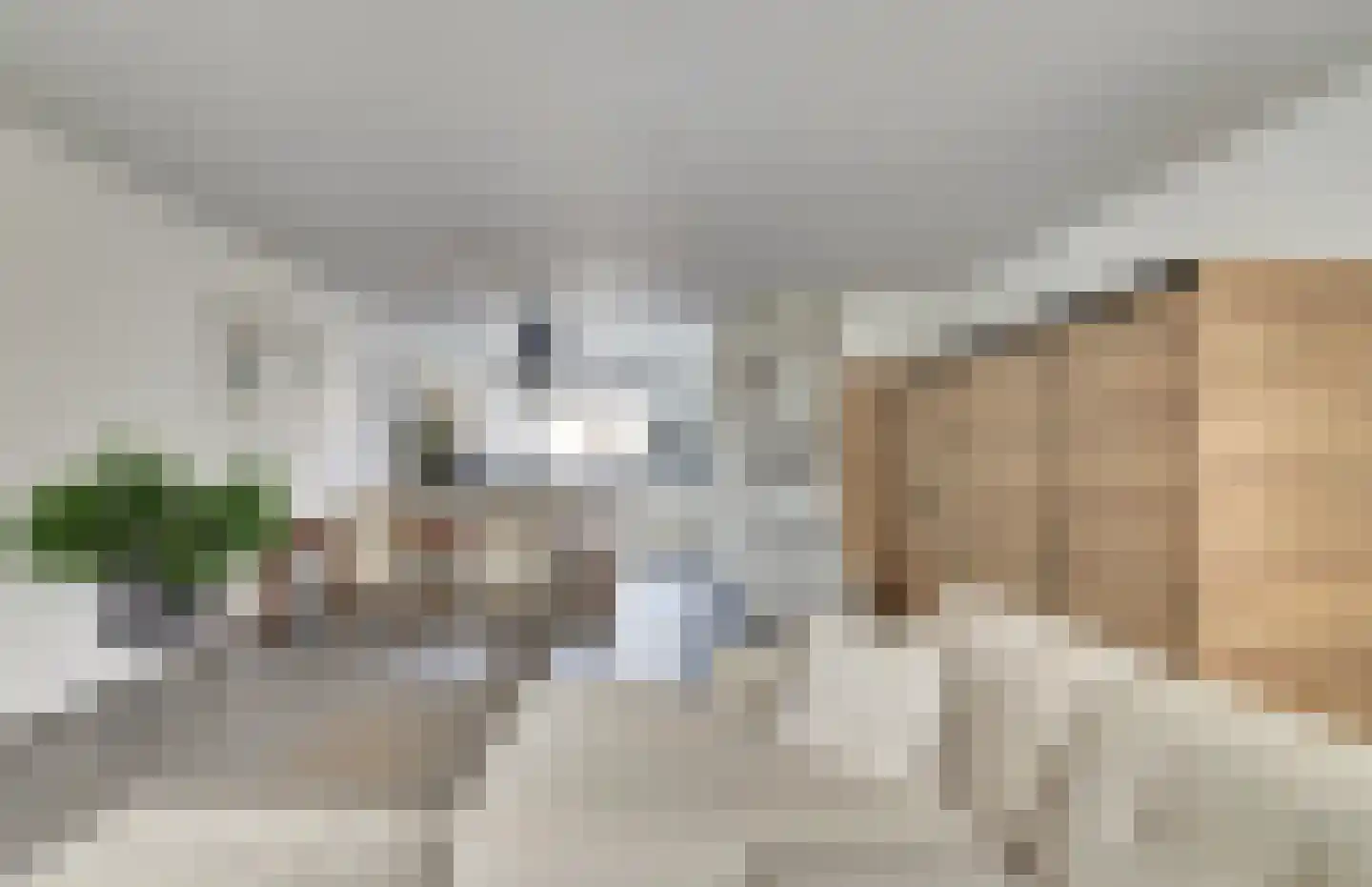 Singel 428 Vlissingen thumbnail 10
