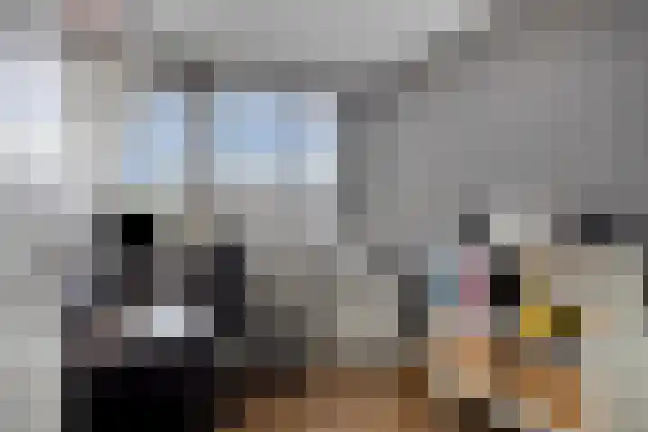 Singel 45 Puttershoek thumbnail 17
