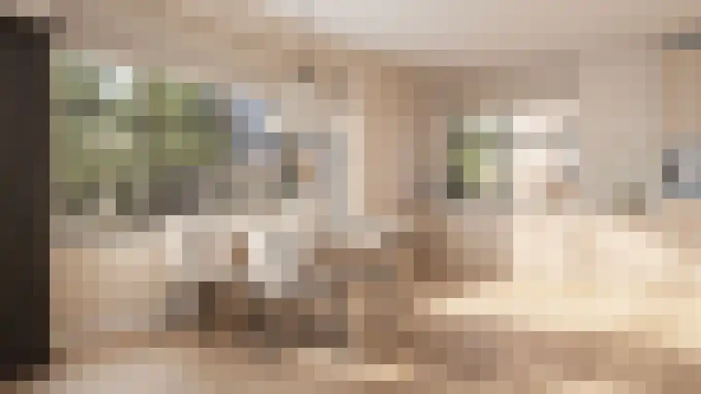 Singel 47 Domburg thumbnail 4