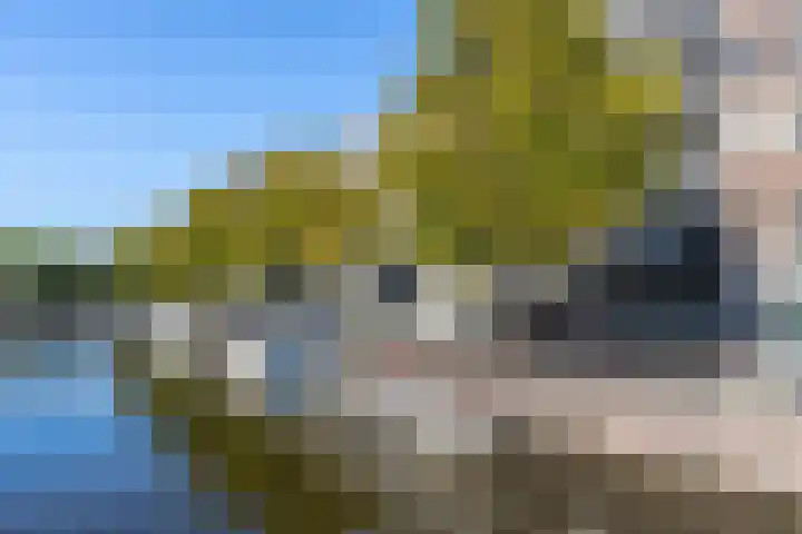 Singel 484 D Amsterdam thumbnail 24