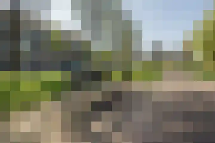 Singel 54 Vlissingen thumbnail 22