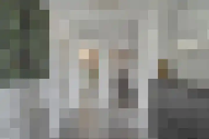 Singel 55 Vlissingen thumbnail 13