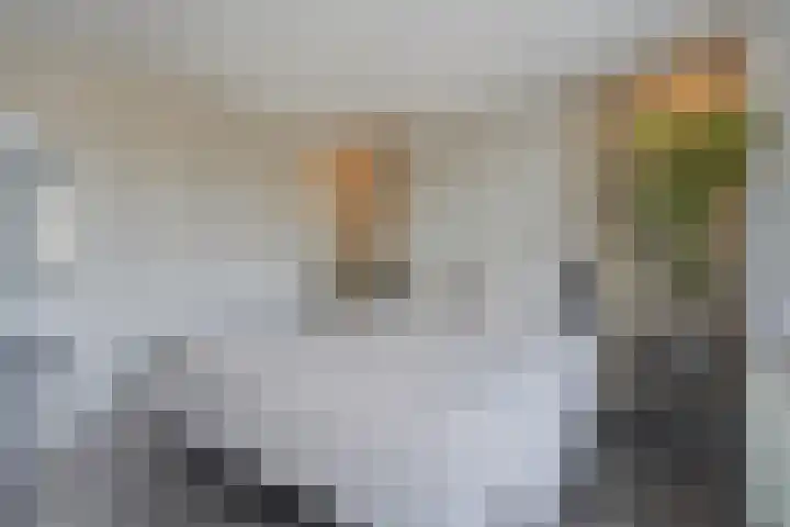 Singel 55 Vlissingen thumbnail 14