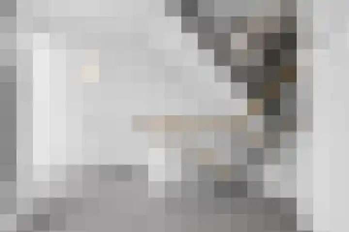 Singel 6 Deventer thumbnail 28