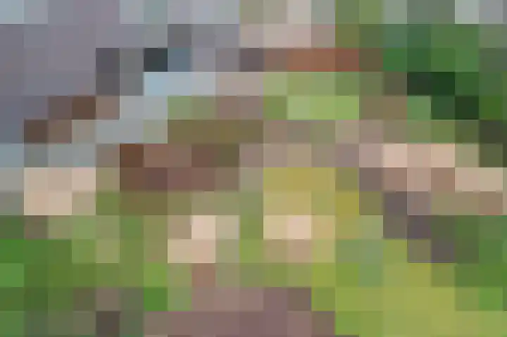 Singel 6 Deventer thumbnail 32