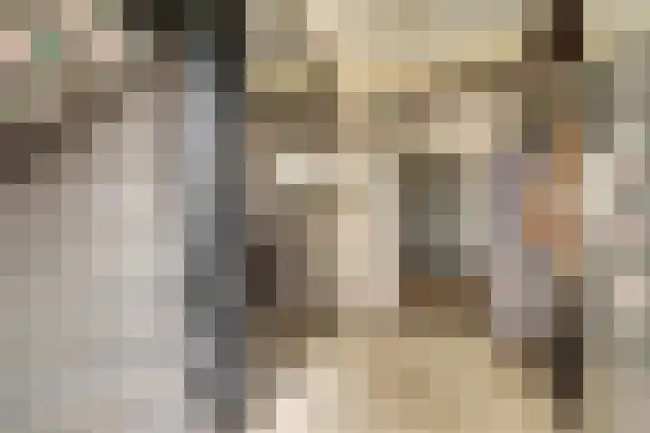 Singel 7 Noordeloos thumbnail 17