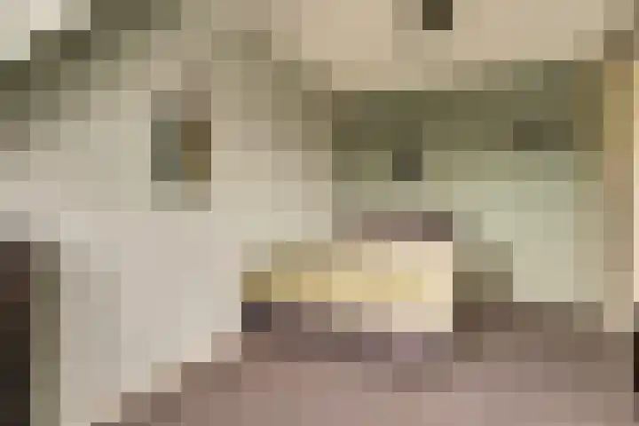 Singel 7 Noordeloos thumbnail 22