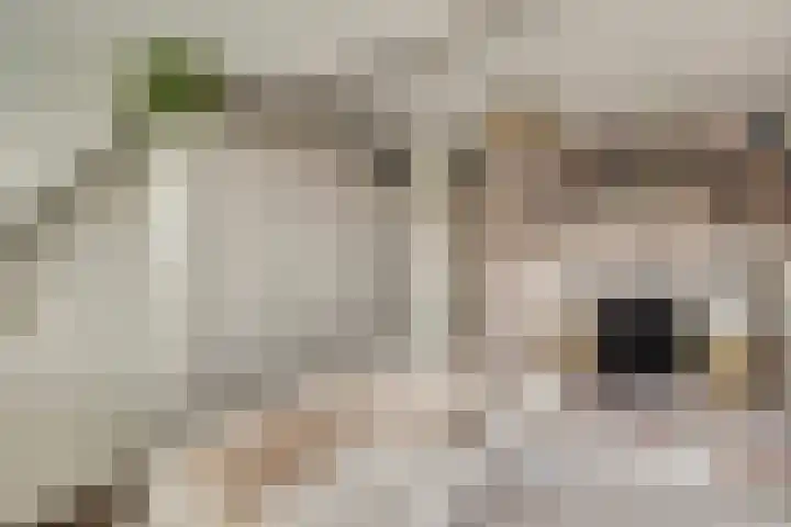 Singel 7 Noordeloos thumbnail 27