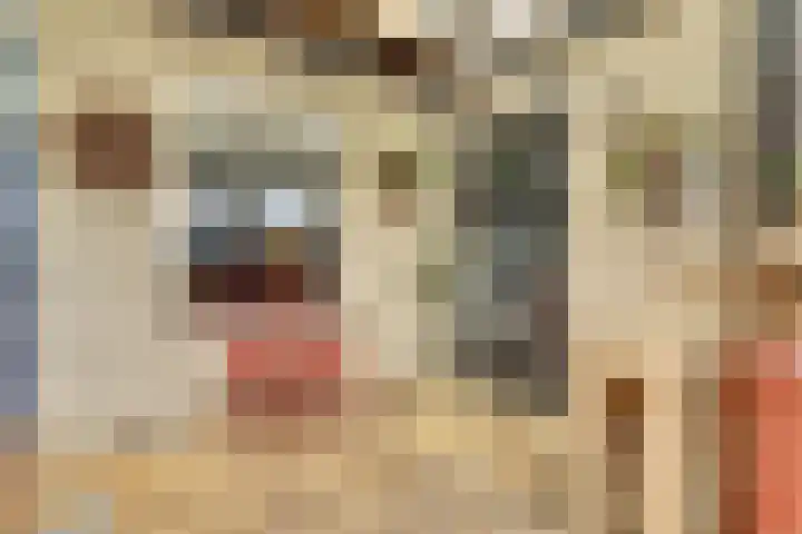Singel 7 Noordeloos thumbnail 40