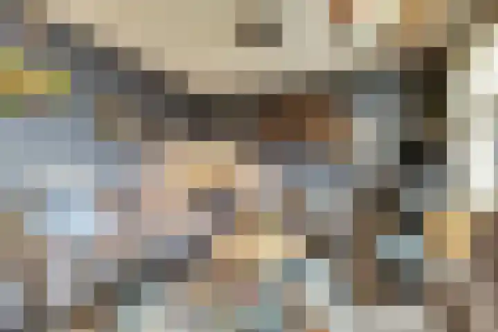 Singel 7 Noordeloos thumbnail 7