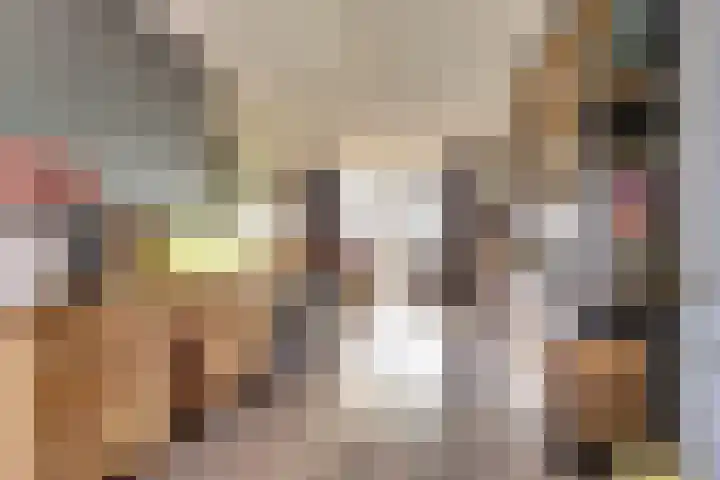Singel 7 Noordeloos thumbnail 9