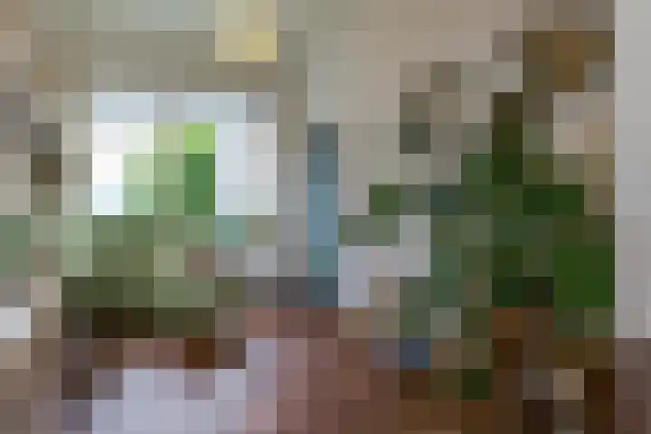 Singel 7 Sneek thumbnail 13