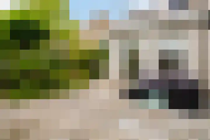 Singel 7 Sneek foto 2