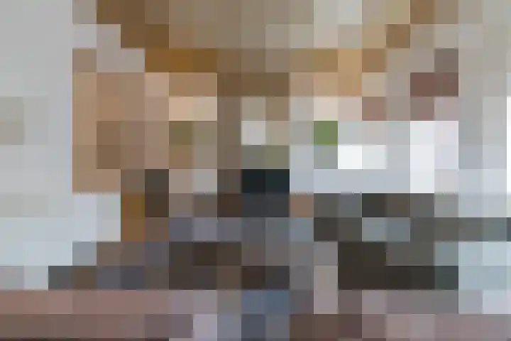 Singel 7 Sneek thumbnail 23