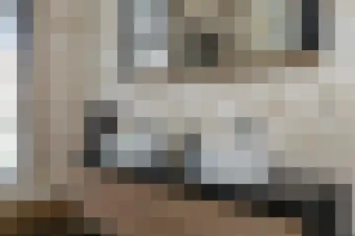 Singel 7 Sneek thumbnail 35