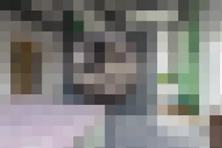 Singel 7 Sneek thumbnail 40