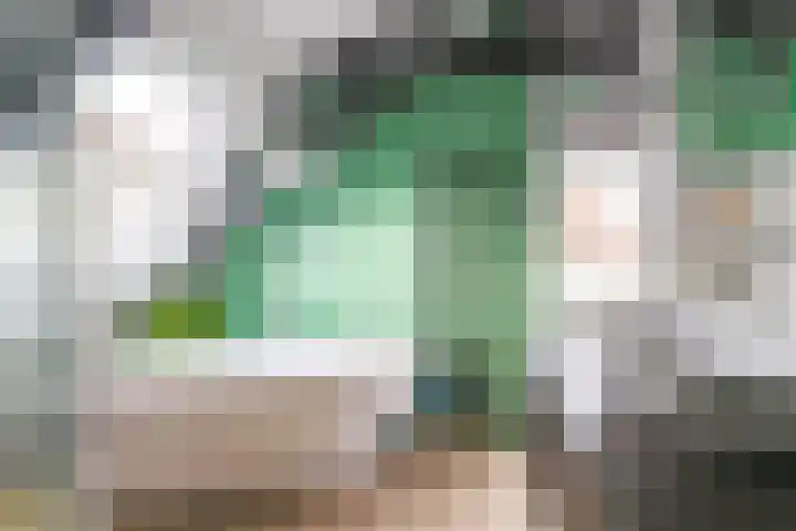 Singel 7 Sneek thumbnail 42