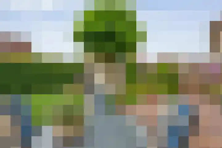 Singel 7 Sneek thumbnail 45