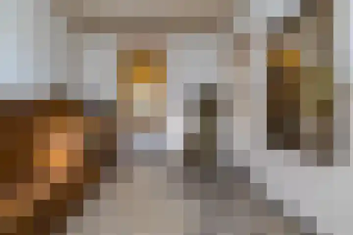 Singel 7 Sneek thumbnail 5